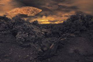 Ядерная Зима