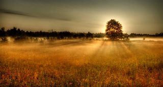 В это тихое утро...