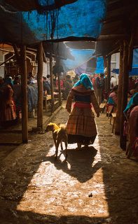 Каждое воскресенье, Бак Ха проходит крупнейший справедливой рядом с горной горной местности. Это самый большой и самый красочный рынок в регионе и привлекает толпы жителей из окрестных горных племен. Много различных этнических групп, таких как Flower H\'mong, Phu La, Black Dao, Tay и Нунг меньшинств собираются покупать и продавать местные продукты, которые не могут быть найдены в других местах. Кроме обычных предметов, как свиньи, коровы, куры, утки, Бак Ха рынке продаются собаки. Как собаки были доступны как куски мяса, они были также доступны живой, в непосредственной близости от живых свиней, кур и других домашних животных. Вы сможете испытать широкий спектр различных красочных этнических меньшинств и более интересные вещи о жизни в горах ...