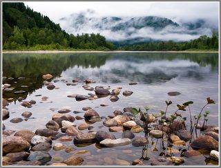 Дремотный покой...