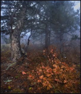 Осенний этюд