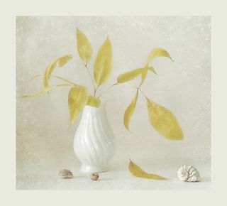 В предчувствии зимы