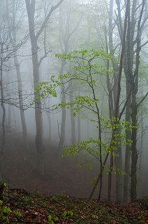 Начало пути... а потом...