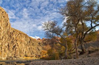 Стражи реки Чарын...