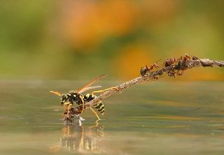 ТАК ВСЕ НАЧИНАЛОСЬ