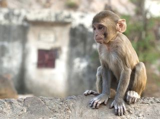 Да, год был непростой и Вы иногда чувствовали себя маленьким, беспомощным, никому не нужным существом