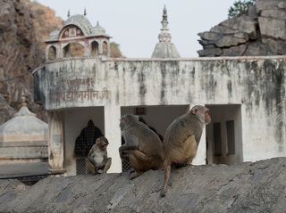 Возможно, что удача иногда отворачивалась от Вас