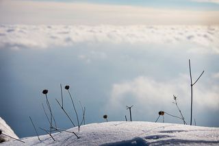 Ожидая весну