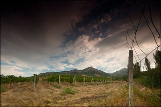 подзаборная