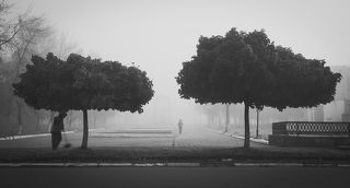 Утренний туман