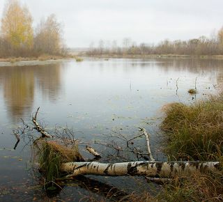 Начало октября