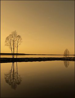 Зазеркалье...