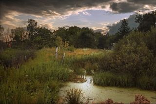 Июньский вечер