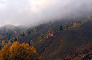 Торгашинский хребет - одно из самых красивых мест в окрестностях Красноярска.