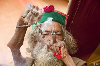 Ядро фестиваля составляют духовные лидеры индуизма, представители разных философских школ, а также их ученики. Приезжают они со всего мира с целью обсуждения богословских вопросов. Но самое интересное - это конечно же, легендарные индуистские монахи - садху. Мы, например, встретили на фестивале аскетов, которые путем медитации проделывают со своими телами невероятные  эксперименты.  К примеру, один пожилой садху вот уже много лет подряд держит свою правую руку в вытянутом и приподнятом положении, в результате чего она у него атрофировалась и стала похожа на ветку дерева. Любопытная деталь: все садху курят гашиш, при помощи специальных трубок. Это считается частью религиозной практики, и правительство Индии выдает cадху специальное разрешение на употребление данного наркотика.