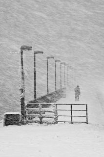 Ухожу в метель