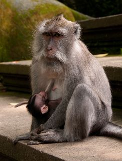 Непростая материнская доля