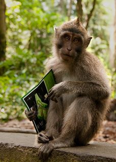 Опять двойка :(