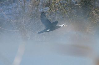 все! пока я полетел