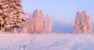 В лучах рассветного солнца