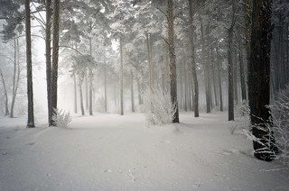 Ну вот мы и внутри... Не так страшно, как представлялось снаружи, и очень даже красиво!