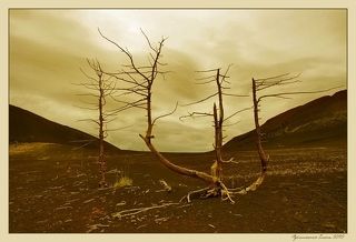 Июль 2010. Север камчатки. Мертвый лес образовался после извержения вулкана Толбачик. Вулканический пепел покрыл все на расстоянии 20 км. Выглядит очень необычно и таинственно. Вороны тут не каркают, из живности - только туристы. :) Вокруг - вулканические конусы. Пахнет серой, земля теплая, ноги проваливаются в шлак по щиколотку.