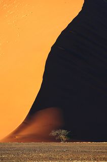 Дюна 48. 
Песчаные дюны в заповеднике Соссусвлей (Sossusvlei) в пустыне Намиб в Намибии.

Все большие дюны имеют свои номера.
Высота дюн доходит до 150 м.