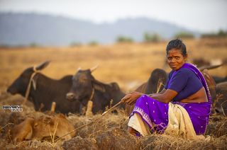 Деревушка в районе форта Кабо де Рама.