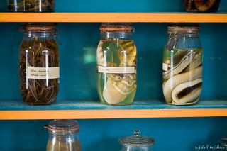 Sea Gypsies village. School.