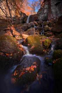 ...это он же: вид поближе...
