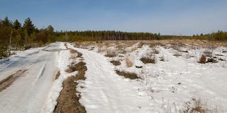 01 В фигуральном смысле фраза «Весна идёт, весне – дорогу» исключительно позитивна!