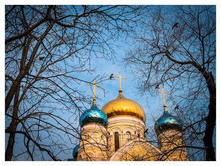 Просто понравился цвет