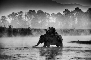 Слоновья переправа