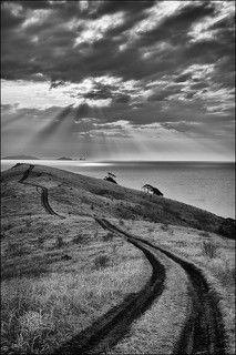 Хайвэй ту...? ( Самостоятельный кадр. Не спекуляция )