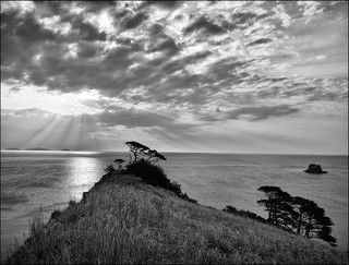 Спекуляция 2