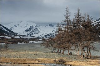 Обманчивый луч света