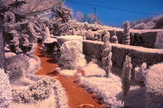 Некоторые коллекции растений имеют вот такой вид.