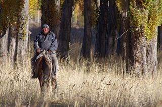 Очень колоритный пастух :)