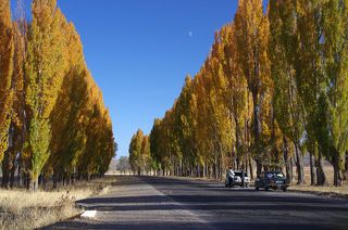 Деревья просто жгли красками... да еще и луна днем выкатилась... эх, красота была... бродить бы там и бродить, а не проездом мчаться...