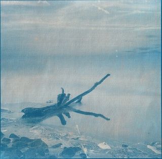 Цианотип. Первые пробы. Размер отпечатка 20х20 см.