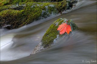 Дыхание осени