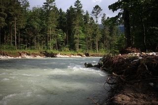 Быстрая река Кенигсзеер Ахе впадает в озеро. Вода чистейшая и очень холодная.