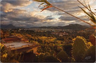 Закатная Багерия