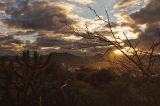 Закатная Багерия