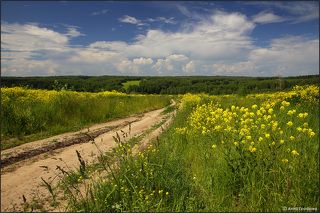 Цветущими дорогами...