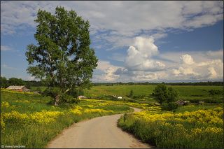 Живописная деревушка Михайловка