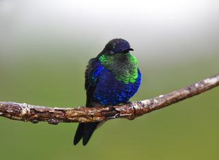 Впрочем спасть нужно детям по расписанию)