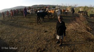 Кения. Масаи Мара.