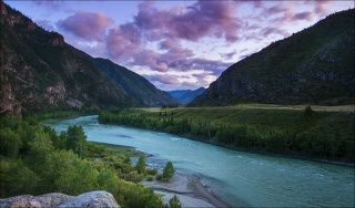 Мир Таракая