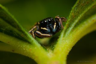 На краю листа.